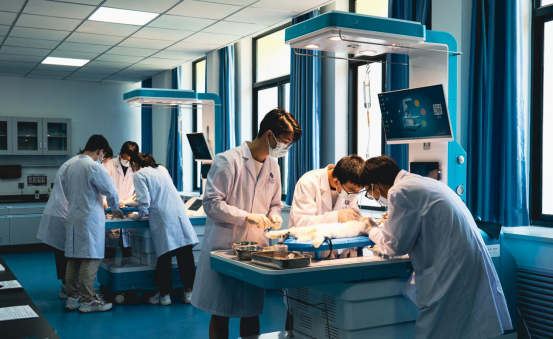 基础医学院:凝心聚力 务实笃行 奋力谱写基础医学高质量发展新篇章